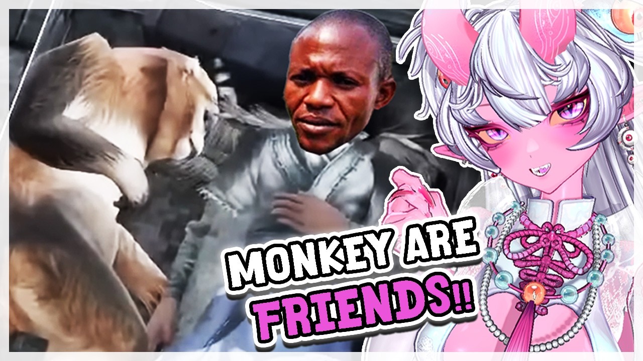 Bro Chooses Monkey Over Wife... kinda based. || SsethTzeentach Reaction