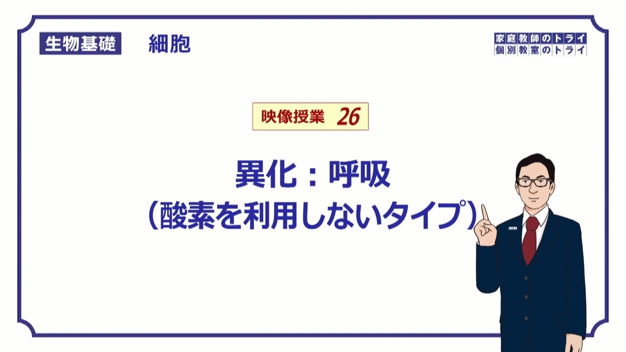 【生物基礎】　細胞26　異化：呼吸（酸素無） （１３分）