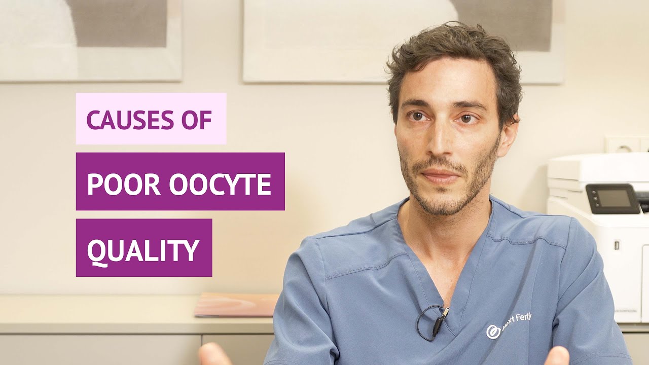 What are the causes of poor oocyte quality?