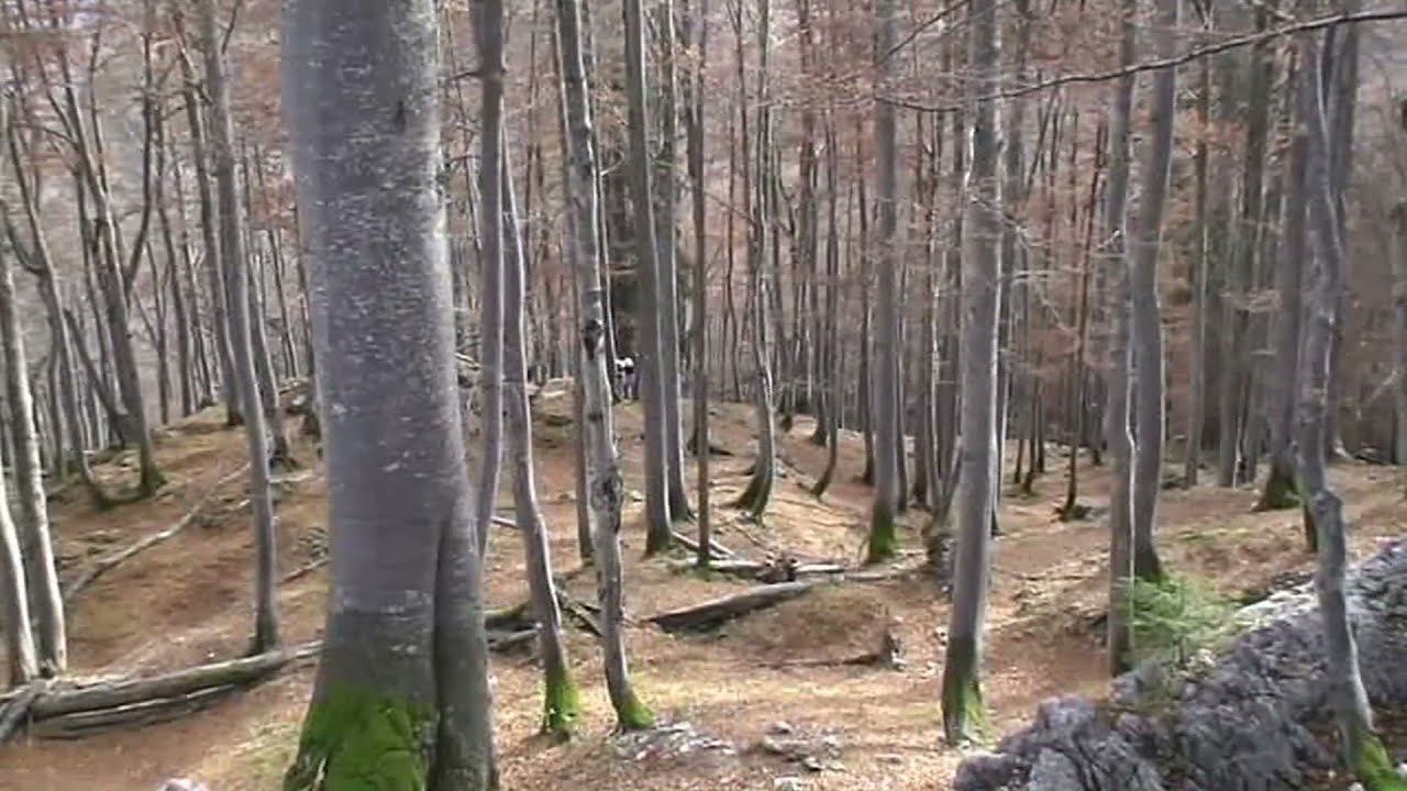 Wandergebiet Eisenerz 