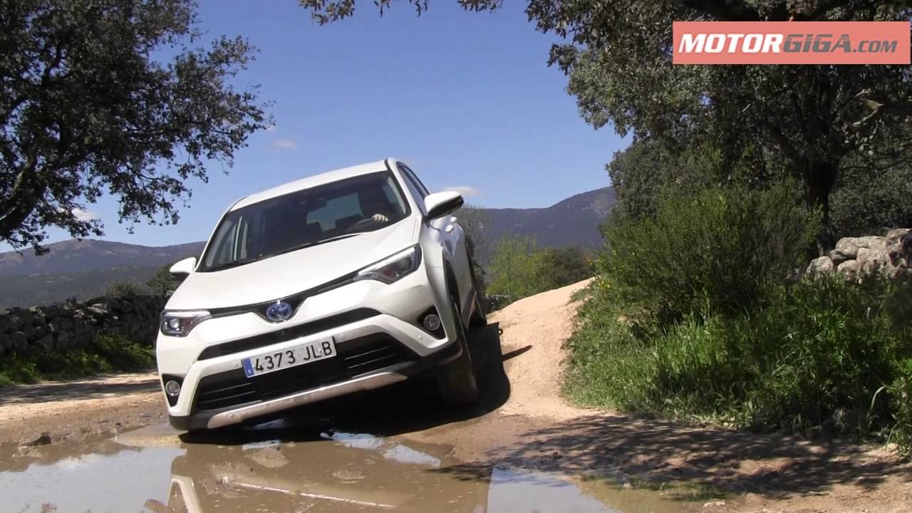 Comparativa Toyota RAV4 2016 hibrido y diesel