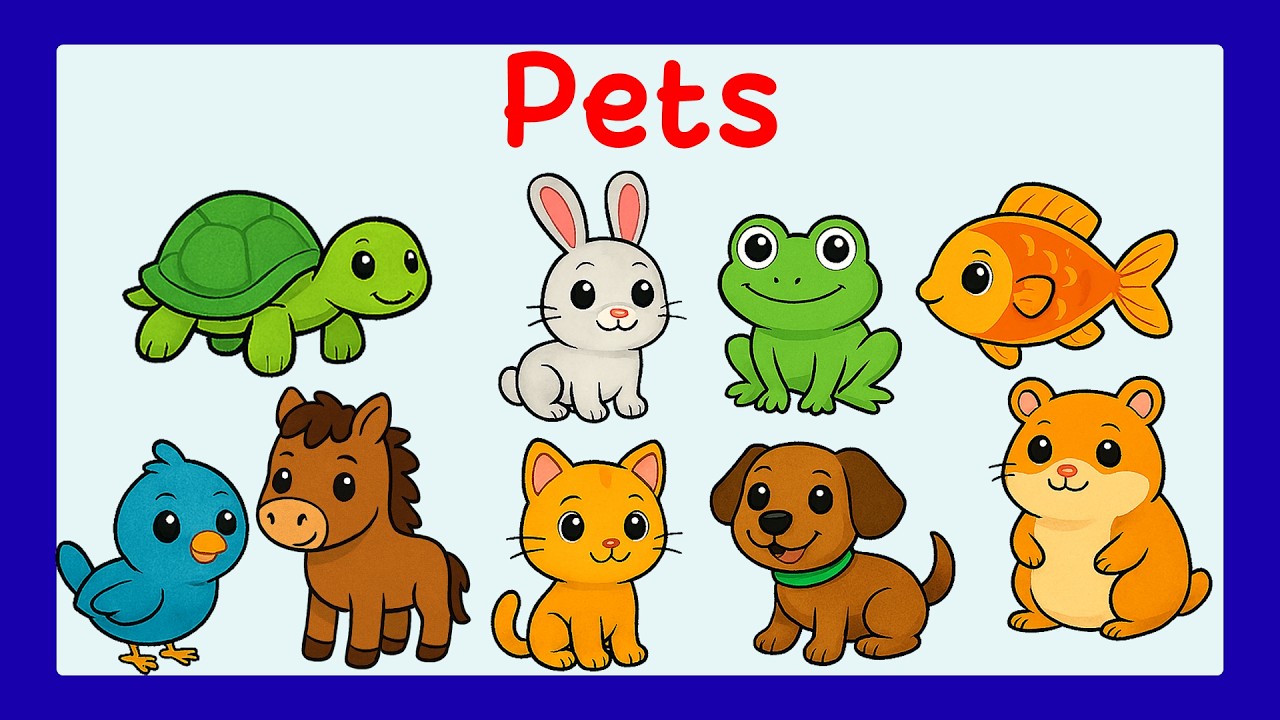 Pets Vocabulary Diviértete aprendiendo inglés