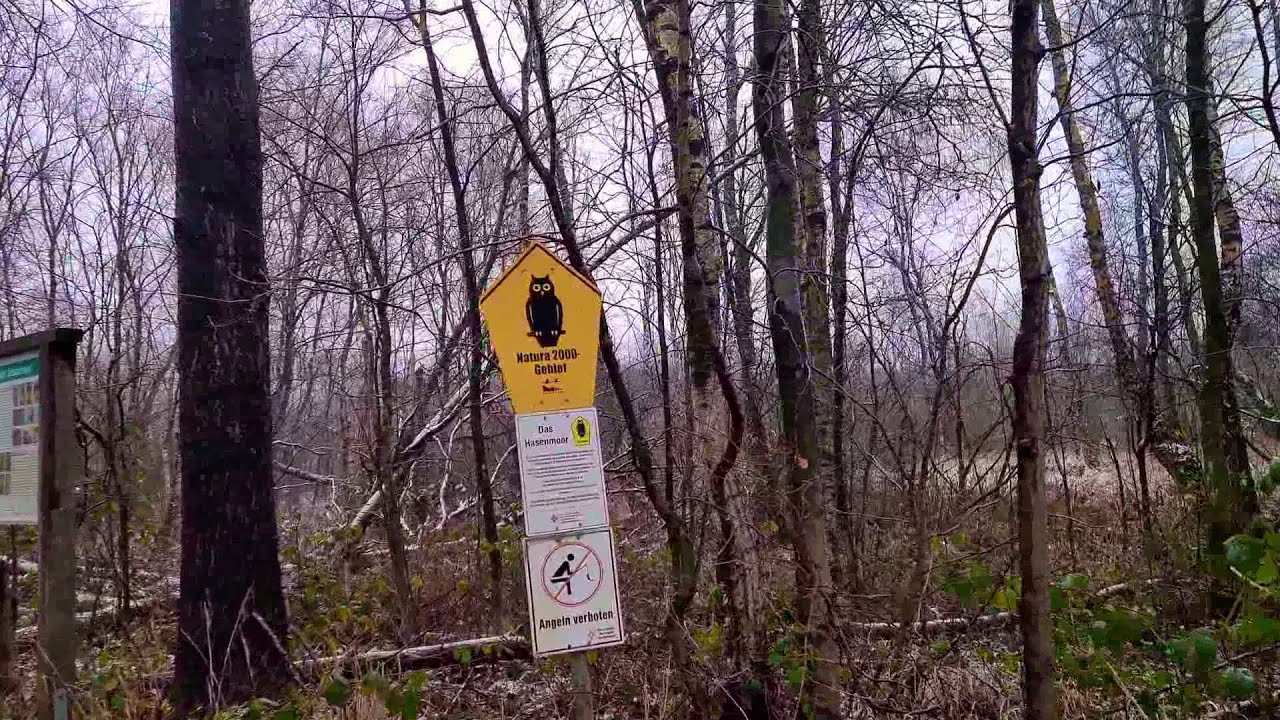 Walk with Hasenmoor