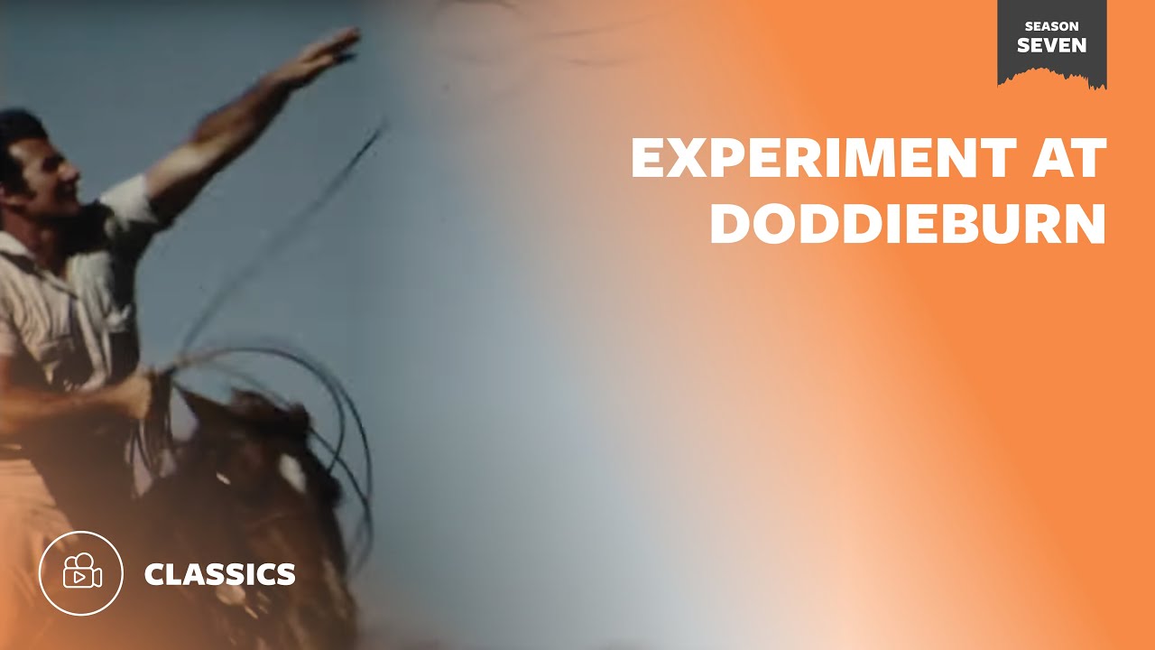 Experiment at Doddieburn | Mutual of Omaha's Wild Kingdom