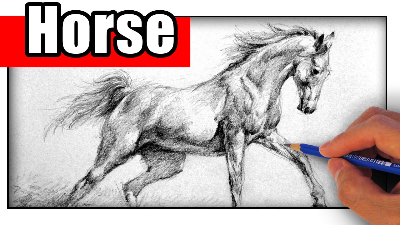 How to Draw a Horse with Pencil