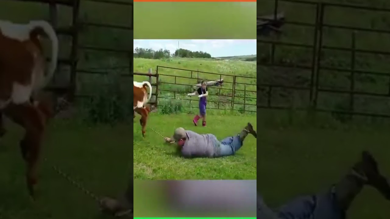 Farm Animals Underestimated 101 #youtubeshorts #shorts #ytshorts #viralvideos PLEASE SUBSCRIBE