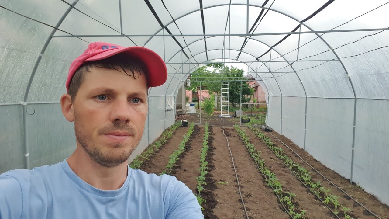 Cât costă sa faci un solar din arcade de metal de 12 metri