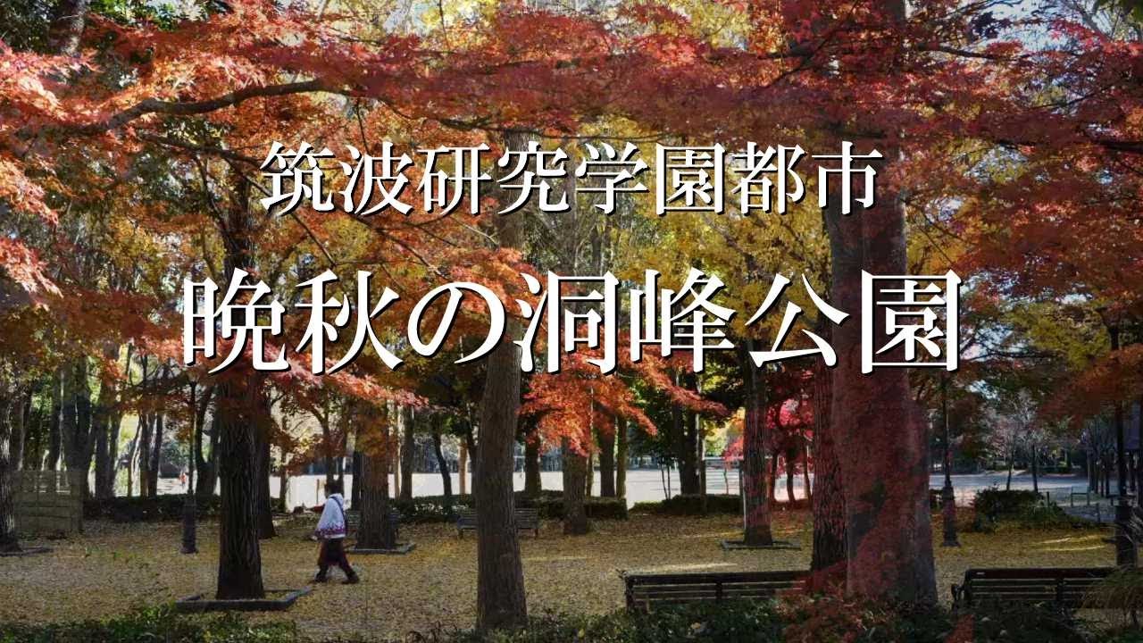 筑波研究学園都市　晩秋の洞峰公園