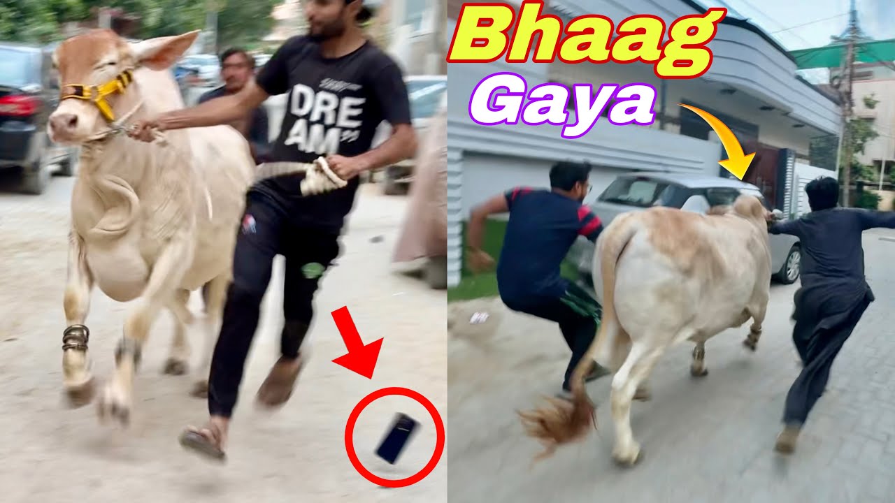Babu Ne Mera Bachra Bhagaa Dia !! 😮🤣