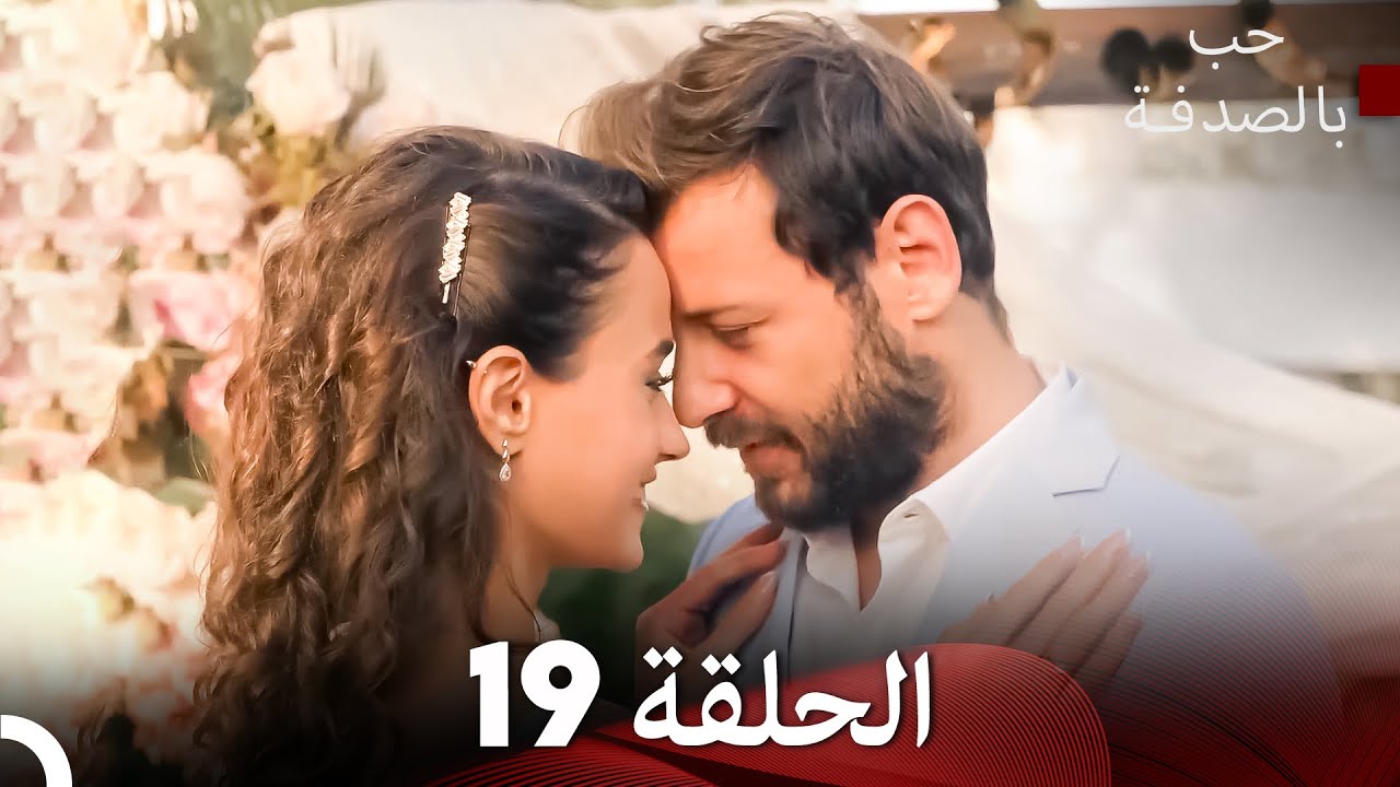 حب بالصدفة الحلقة 19 (النهاية)