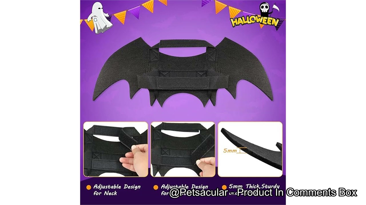 Rypet Dog Bat Costume Review: Worth the Hype for Your Pet&rsquo;s Halloween Look?
