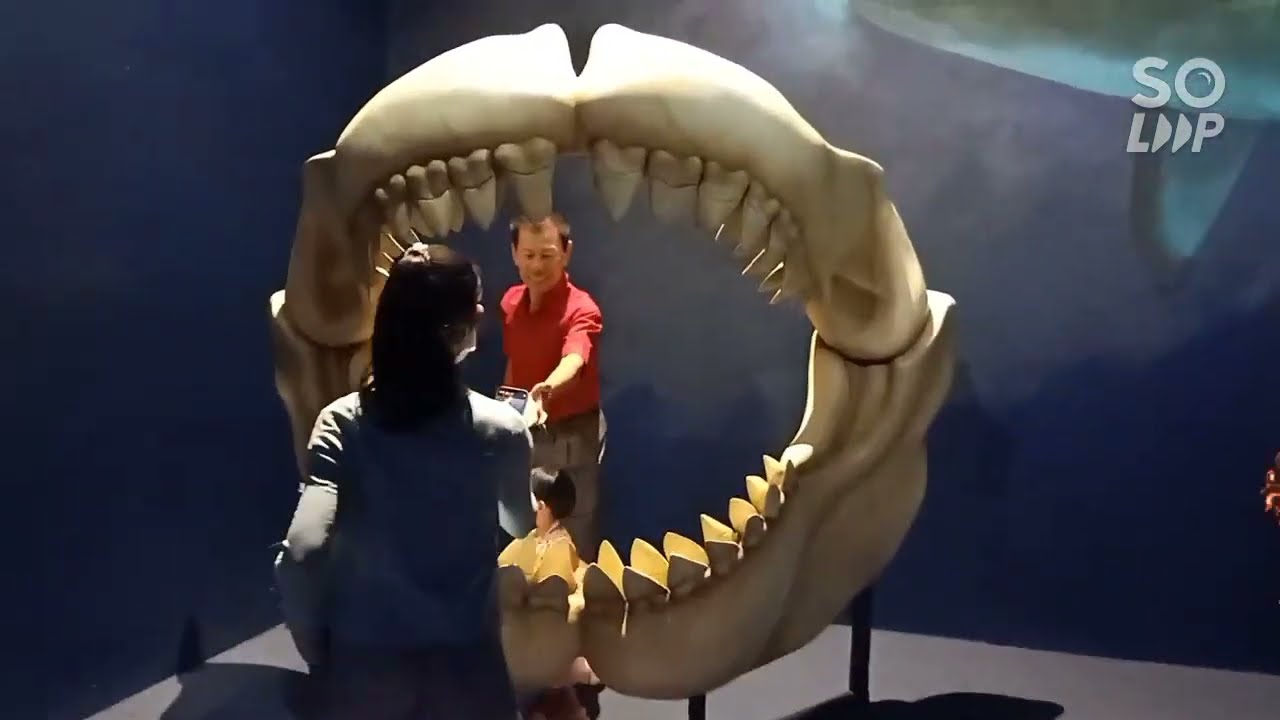 Angkor wildlife and Aquarium