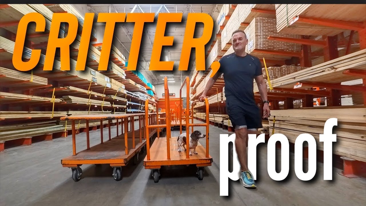 CRITTER, PROOF! Fixing a GIANT Hole & Keeping Critters OUT! 🐭🚫