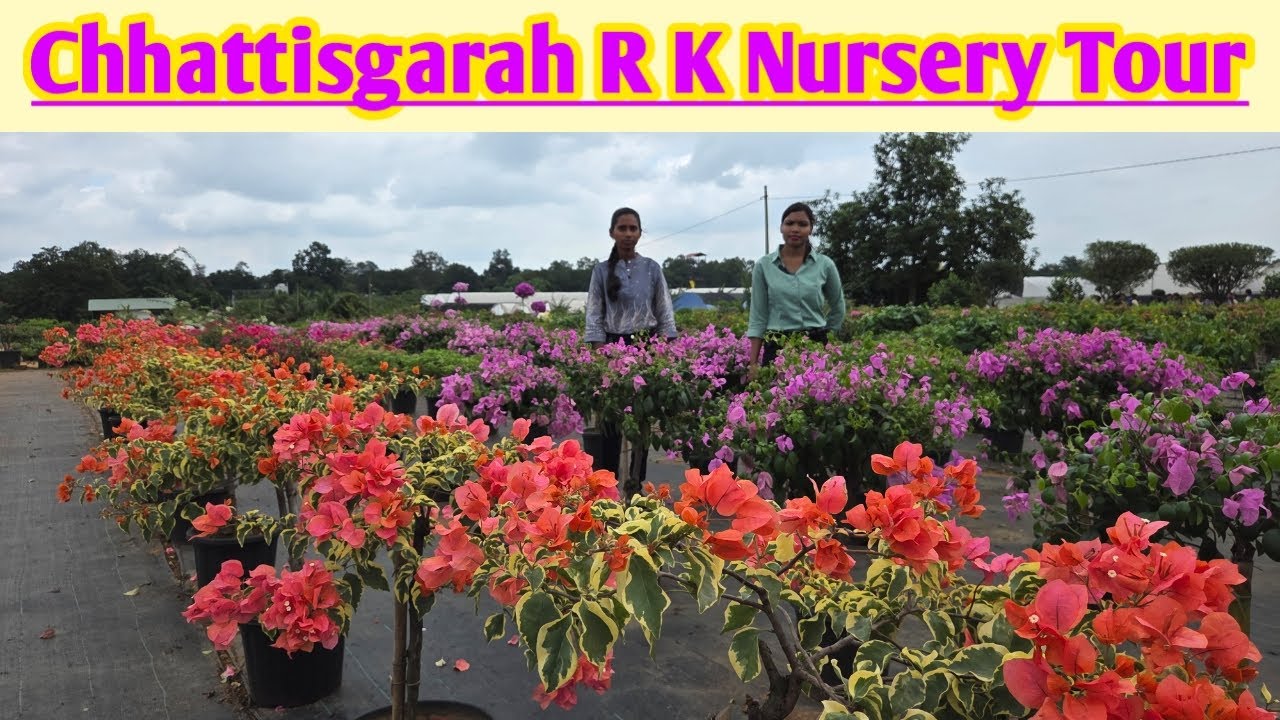 Chhattisgarah R K Nursery Tour||Bodhi Sanjiban||