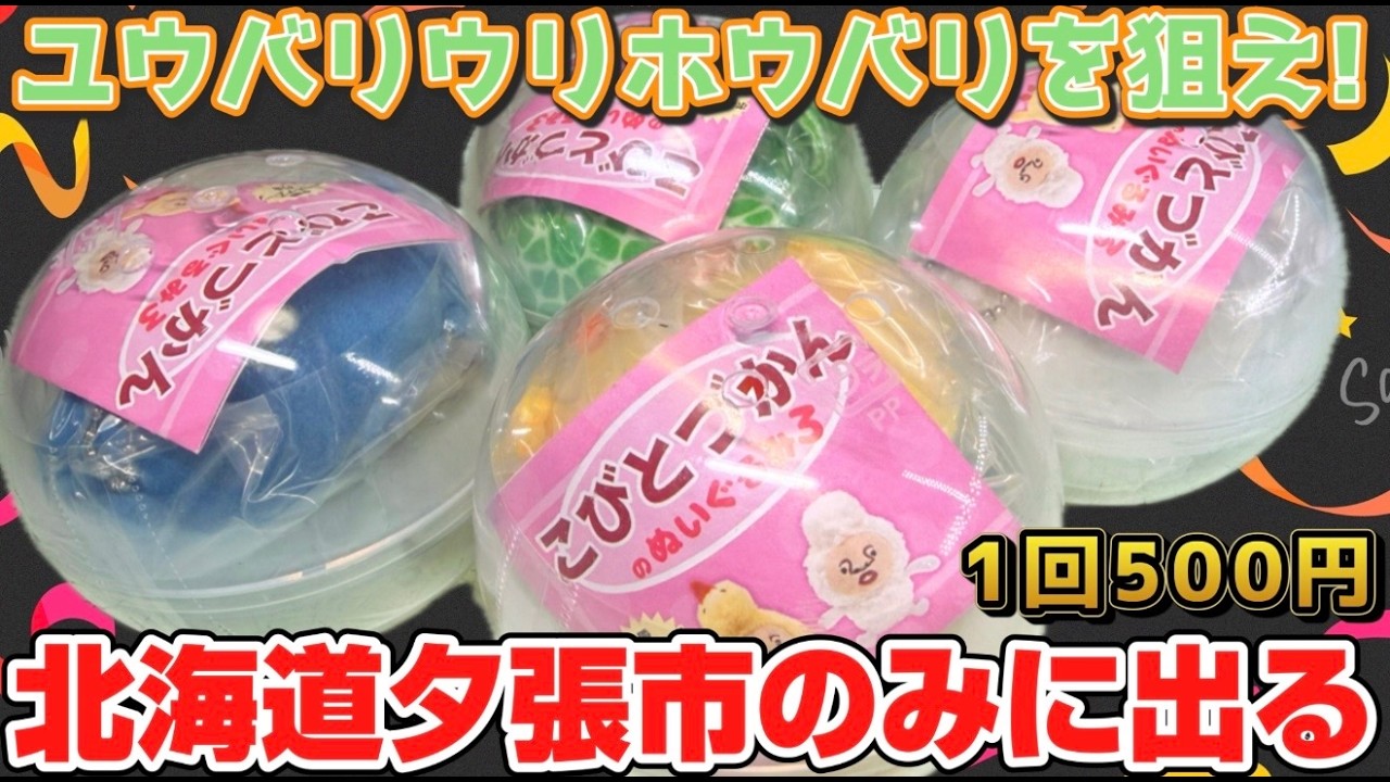 北海道夕張市にしか出ない激レアこびとを狙え！こびとづかん ぬいぐるみ３ 開封レビュー【ガチャガチャ】