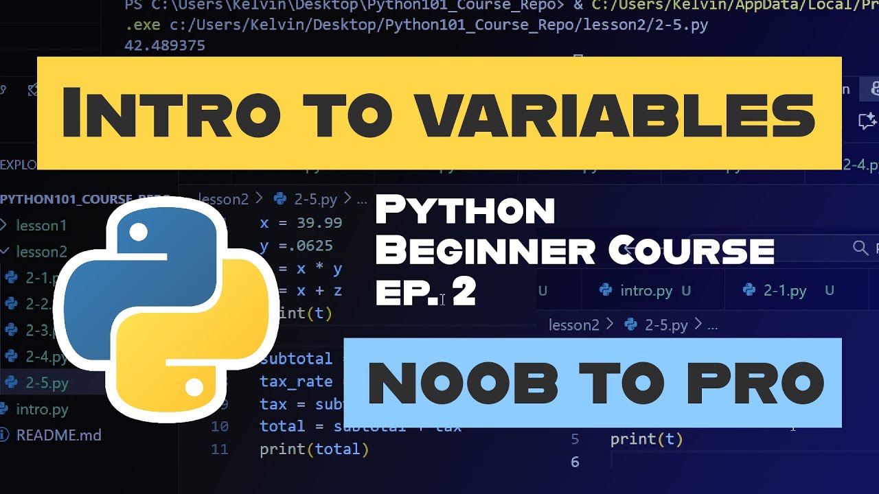 Learn Python Course (Noob to Pro) Ep. 2: Intro to Variables