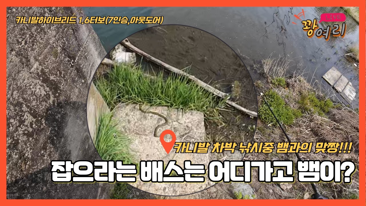 잡으라는 배스는 어디가고 뱀과의 맞짱ㅣ카니발차박ㅣ배스낚시ㅣ차박낚시