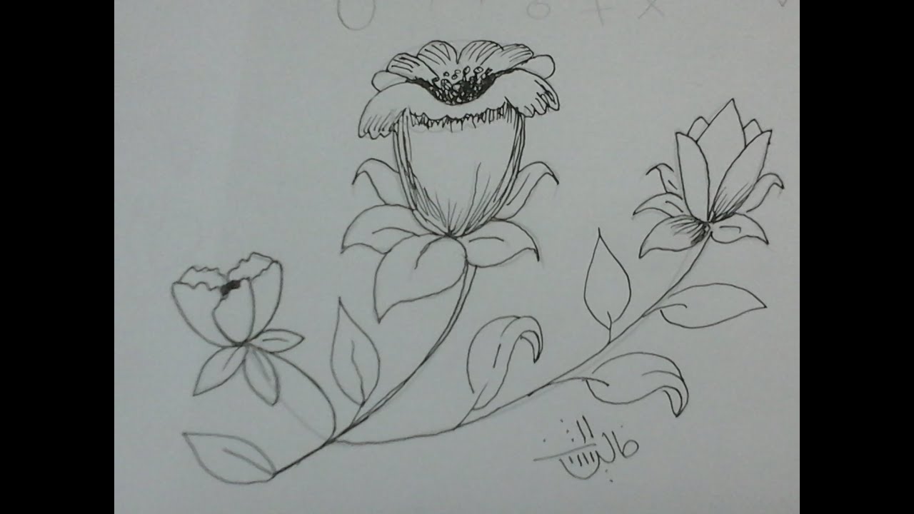 ابسط الطرق لرسم الورد 3