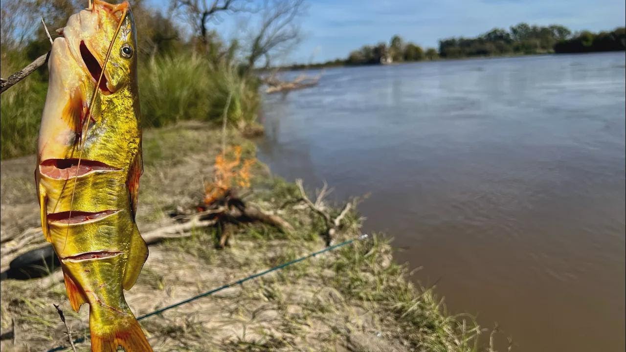 Fishing & Cooking Outdoors: 3 Days of Catching Catfish, Bogas, and Frying Up Fresh Catches