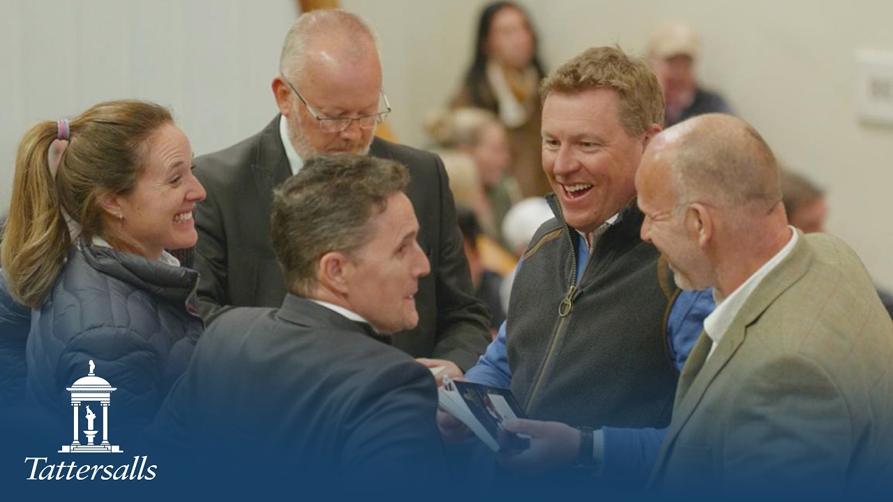 Tattersalls Craven Breeze Up Sale 2026 Day 2 Review