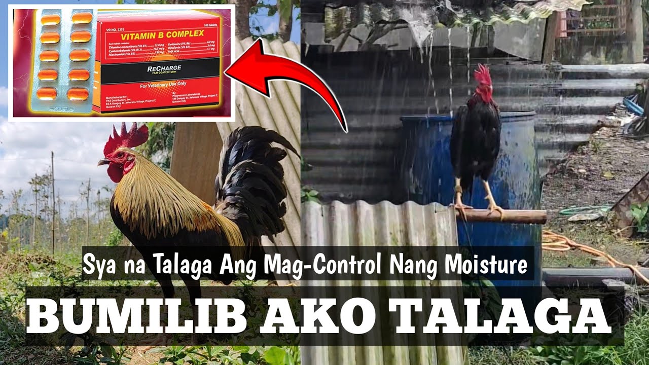 Salamat Sa Nagturo Nito | RECHARGE | Bumilib Kahit Ako | Linyada ng Mamay