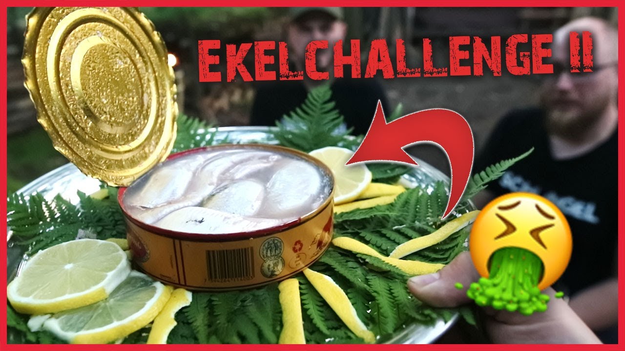 MEHLWÜRMER, 1000 JÄHRIGE EIER, SURSTRÖMMING | Naturensöhne Ekelchallenge 2 |  Outdoor Bushcraft Camp