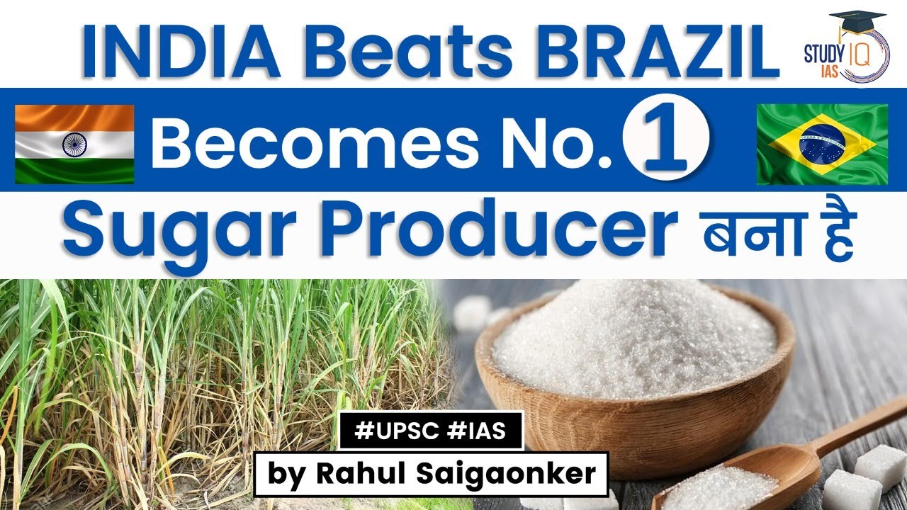 India is now largest producer of sugar. Analysis of sugar industry | UPSC