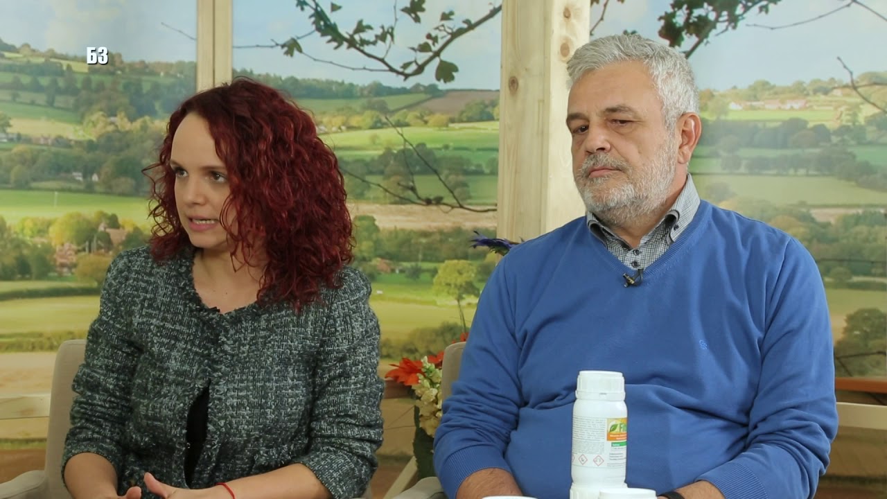 NOVO DJUBRIVO  - PELETIRANI DOMACI STAJNJAK SA ZEOLITOM ! Jeftinije !