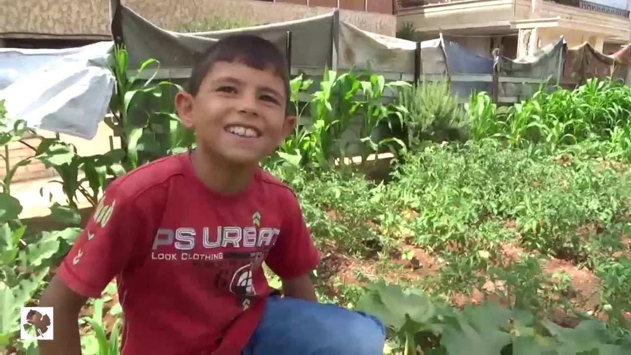 حي الوعر يتحول إلى بساتين خضروات للتخفيف من آثار الحصار