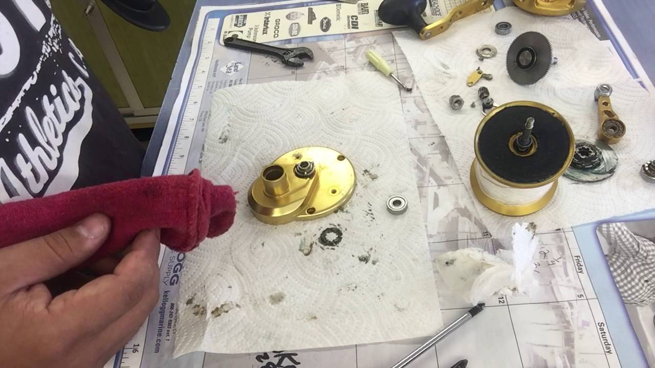 Avet lx 6.0:1 service and bearing replacement