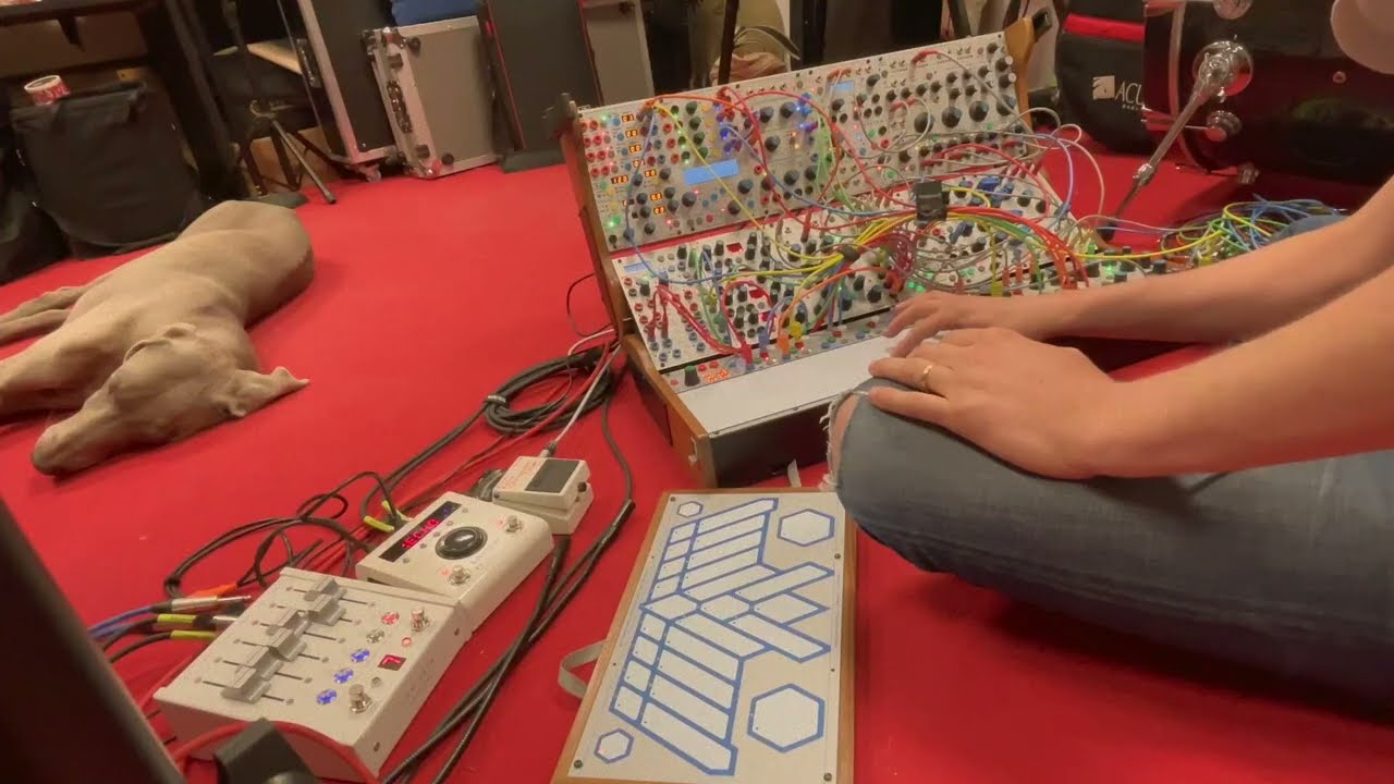 Buchla 200e system - Meditation with a dog