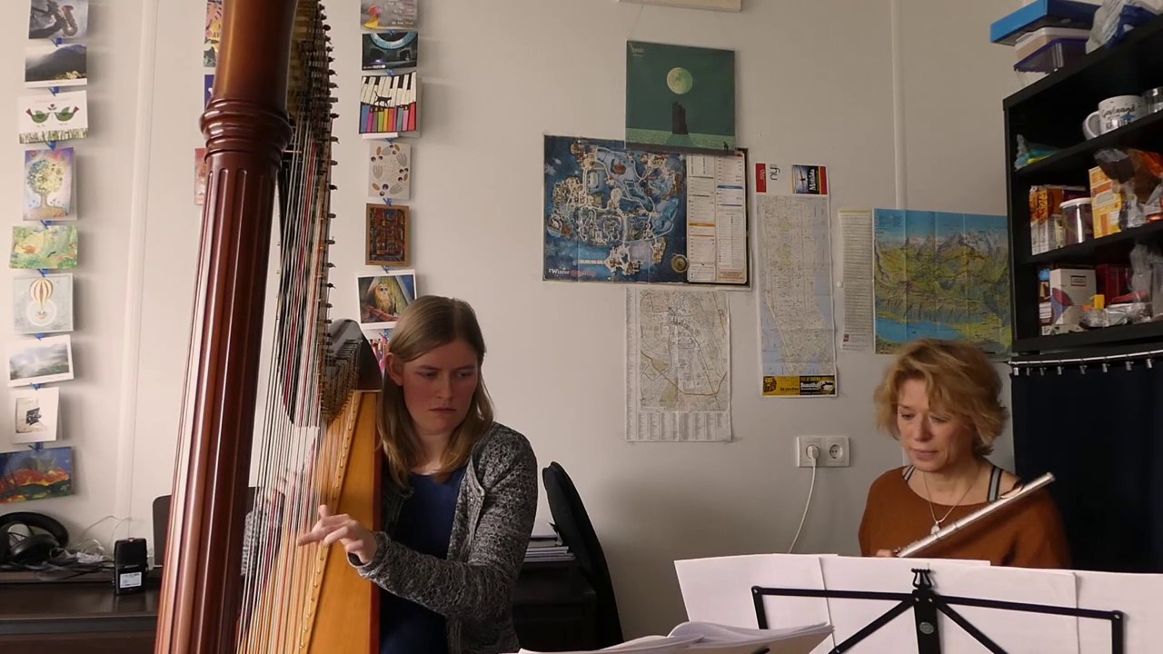 Autumn - Herman Beeftink - Harp & Flute