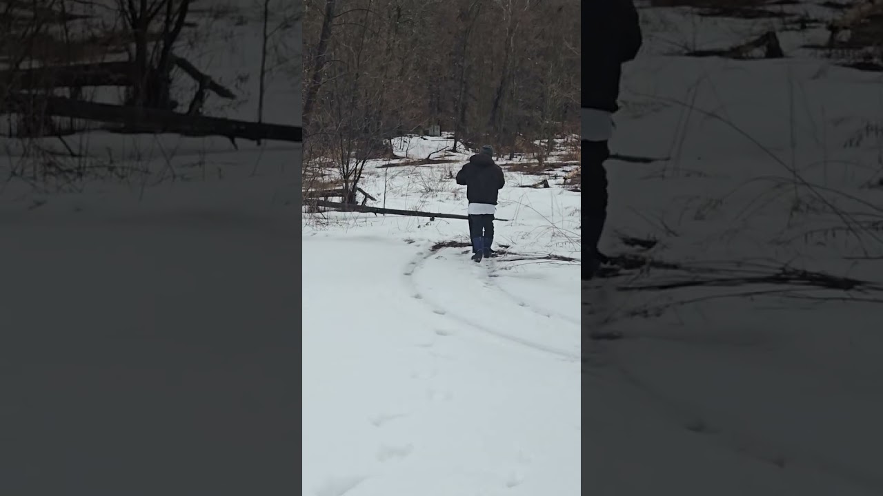 Retrieving a 12 point deer skull.