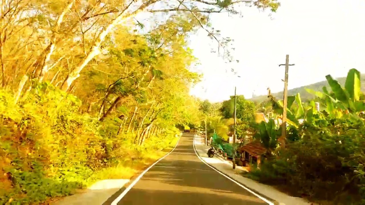 nedumoncavu kodumon plantation Road