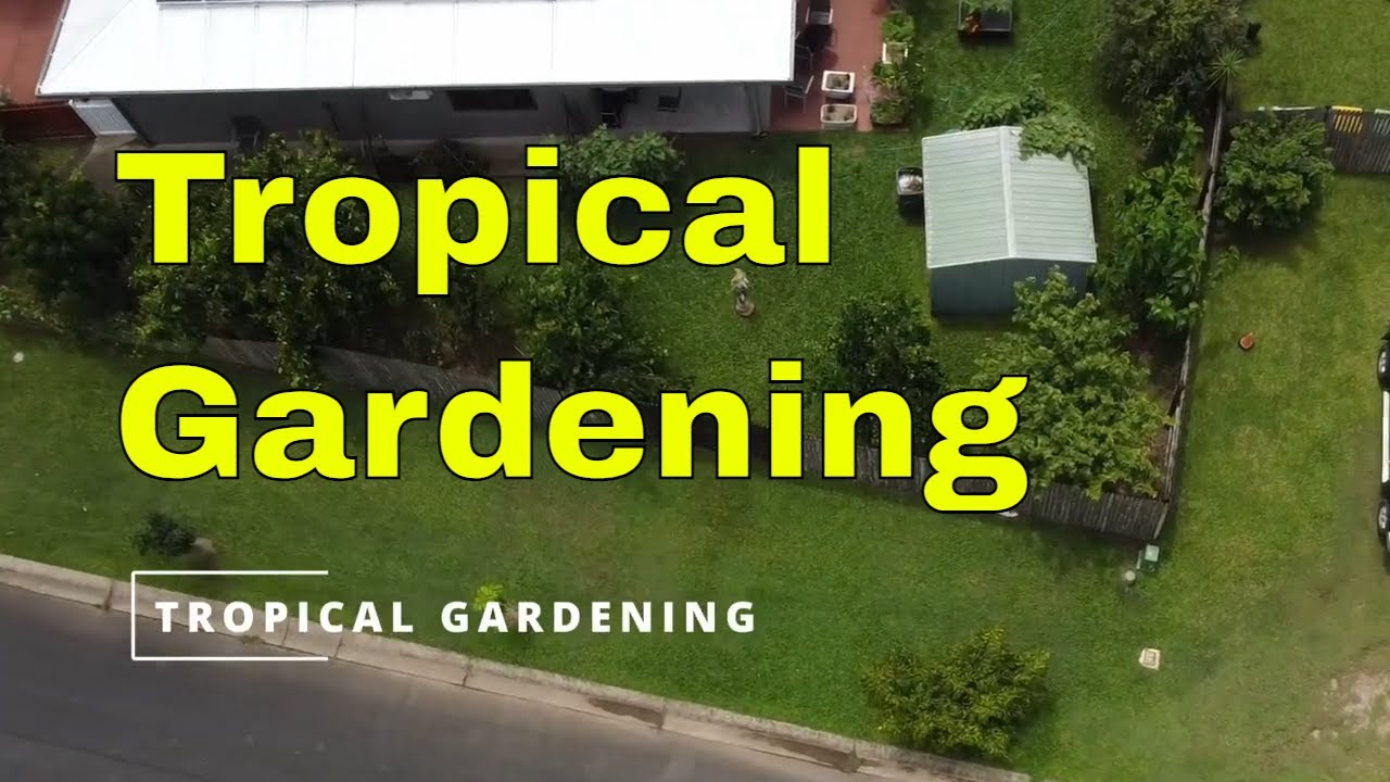Tropical Gardener Rob Pyne Shares His Garden Goodies