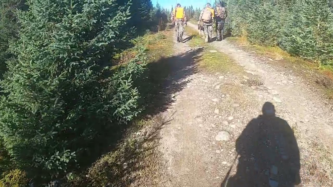 CHASSE ORIGNAL 2021 RÉSERVE FAUNIQUE DES LAURENTIDES