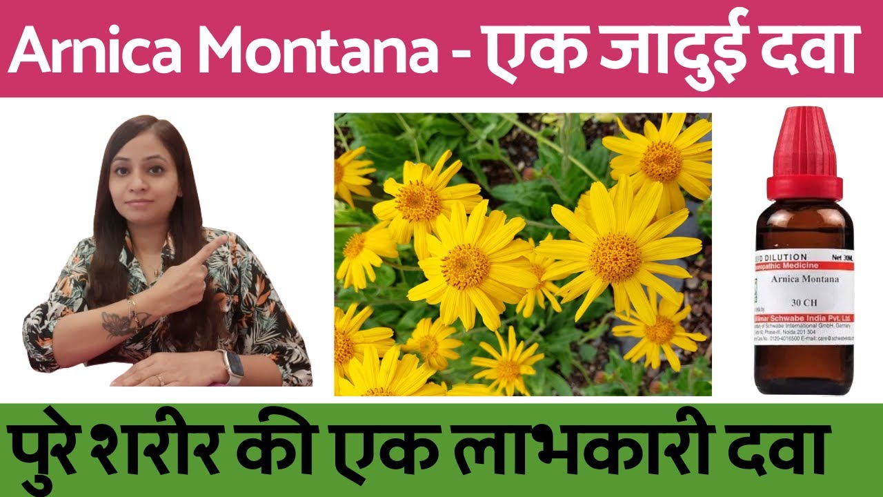 Arnica montana | Arnica montana 200, 200ch | Arnica montana 30, 30c, 30ch homeopathic uses & dosages
