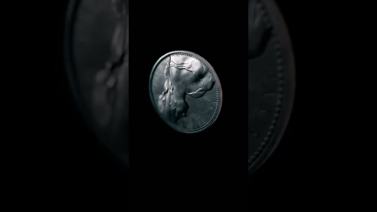 Coin Flip