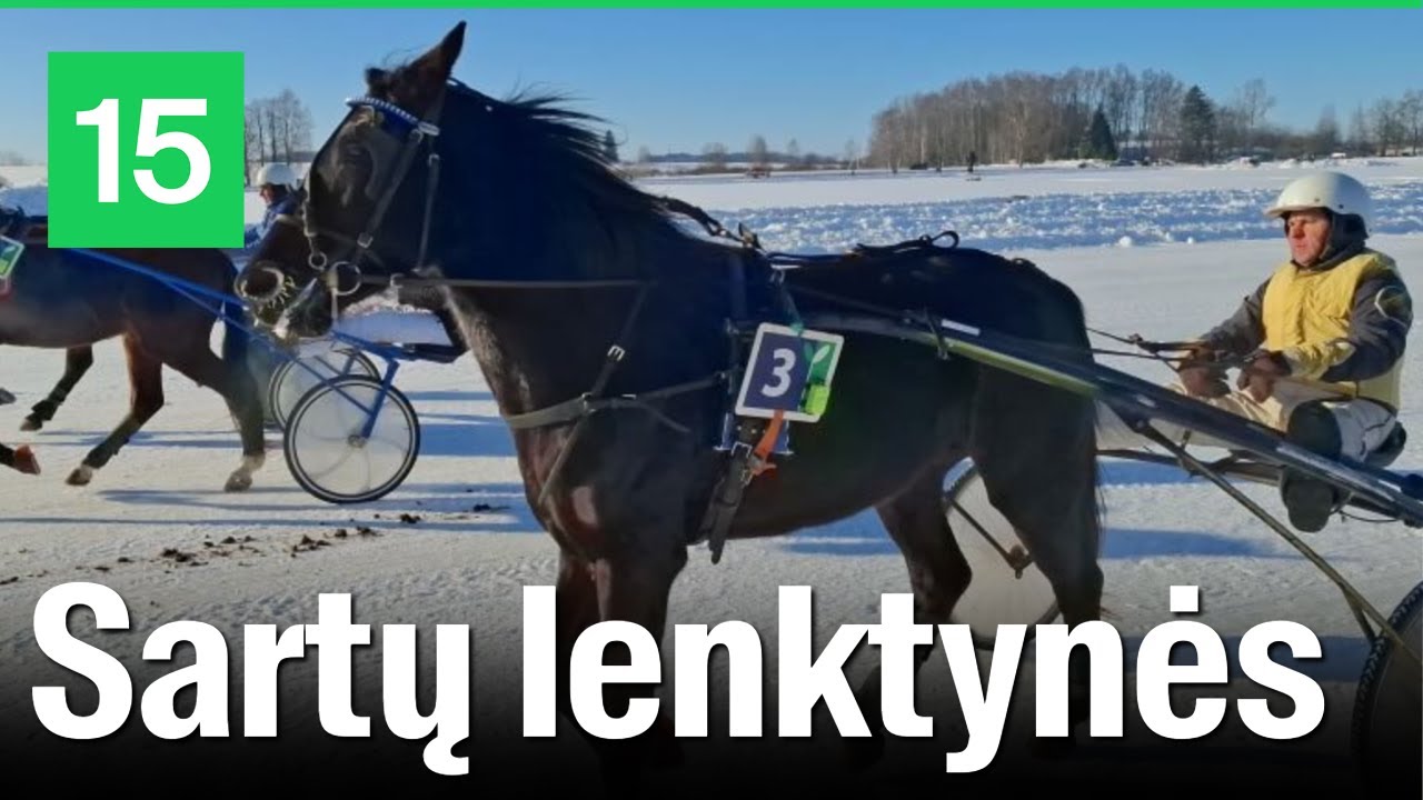 Sartuose vyksta tradicinės žirgų lenktynės