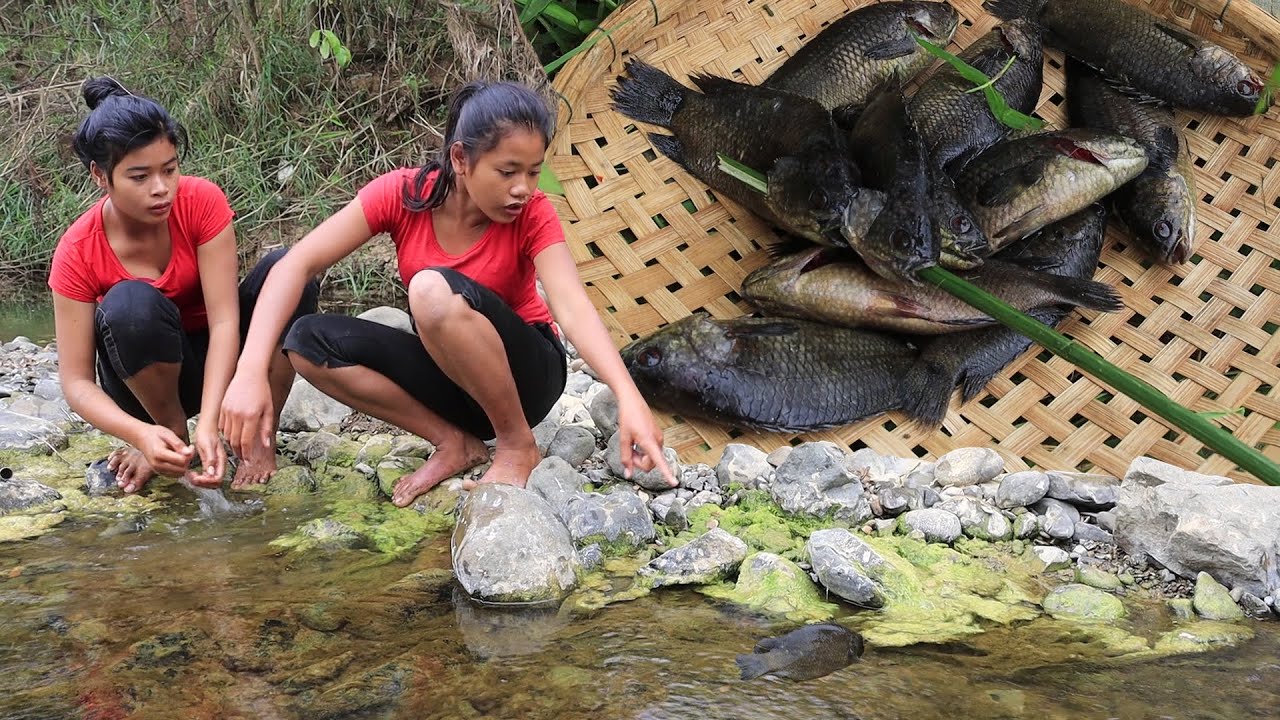 Survival skills in forest: Cooking fish Fries with Peppers sauce and Eating delicious in Jungle