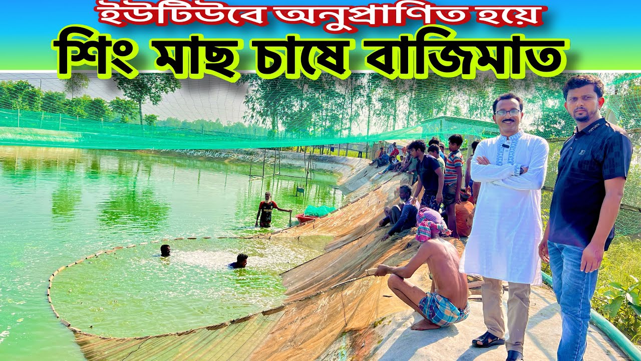 ইউটিউবে অনুপ্রাণিত হয়ে শিং মাছ চাষে বাজিমাত..।। catfish bd