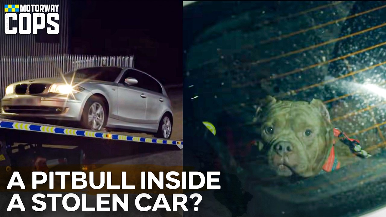 Random Dog Inside The STOLEN CAR! | Motorway Cops