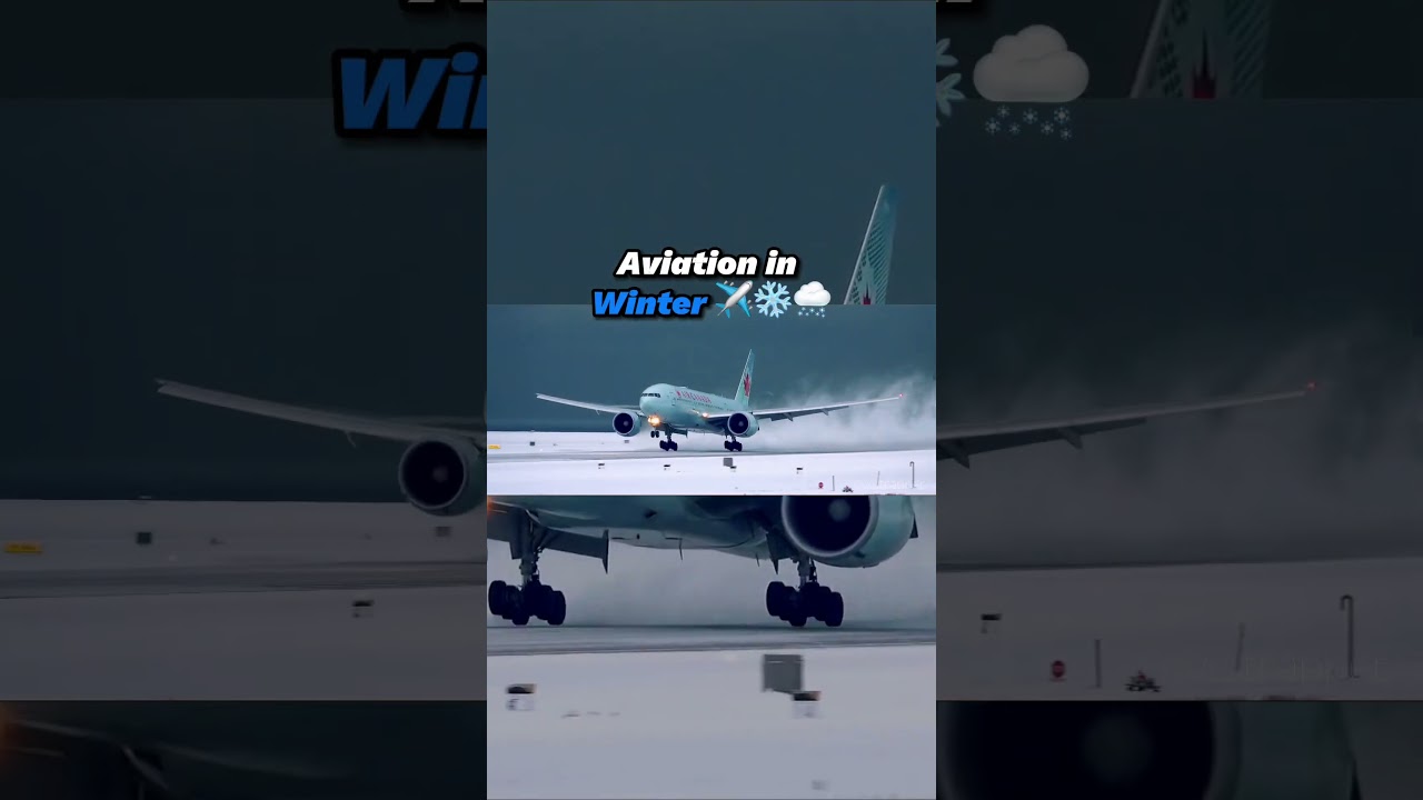 Winter aviation ❄️ | 