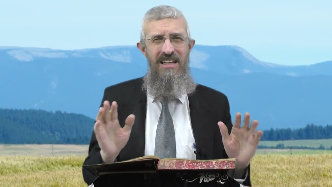 מסכת מנחות דף ד - 8 דקות של לומדות ועמקות בדרך הלימוד הישיבתית [Menachot 4]