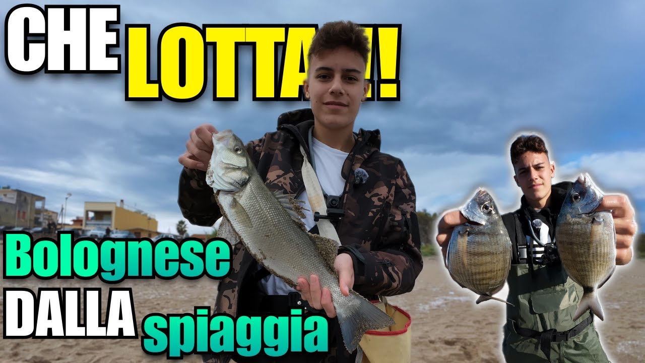 Bolognese dalla Spiaggia | SPIGOLE e SARAGHI in acqua torbida!