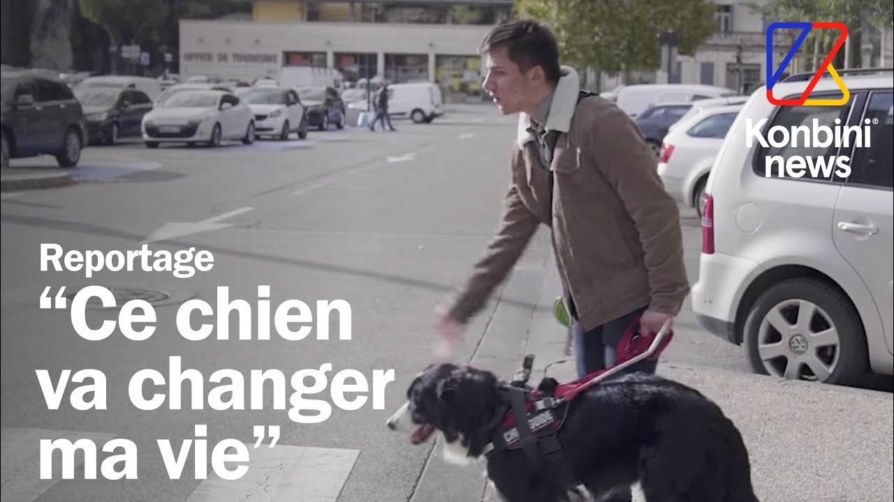 La seule école de chiens guides pour les enfants malvoyants | Reportage