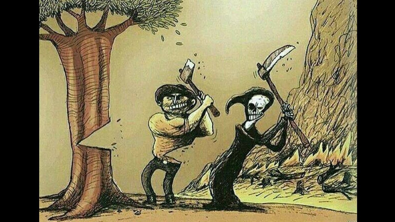 sad reality of trees||Deep meaning of current situation#earth #pictures #tree #sad #reality #shorts