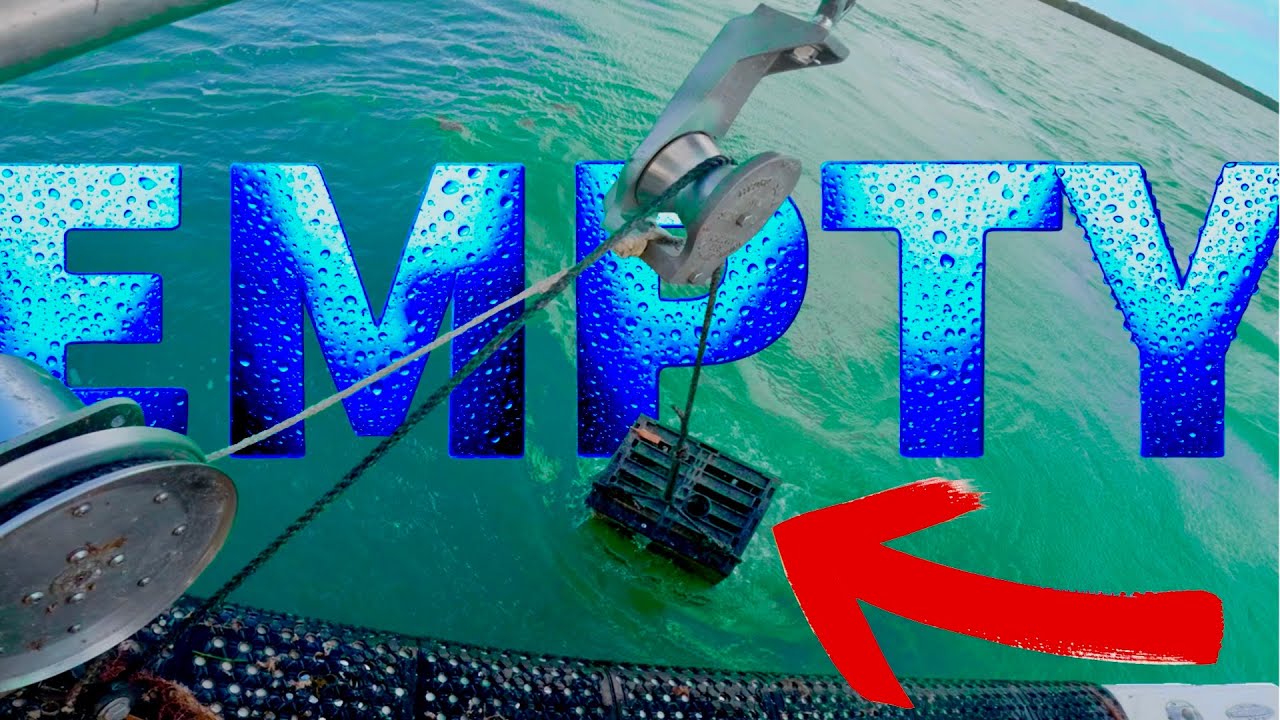 Не могу поверить!! Все каменные крабы ИСЧЕЗЛИ!!