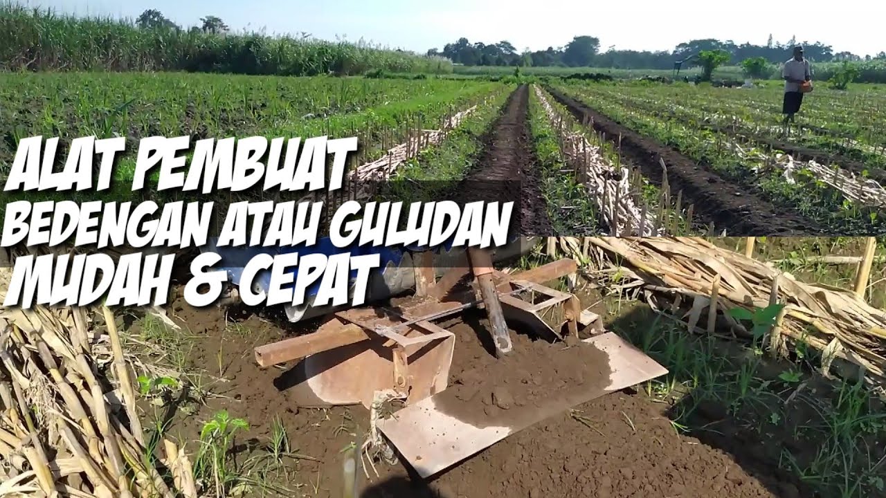 alat pembuat guludan | alat pembuat bedengan | cara membuat bedengan guludan | membuat bedengan