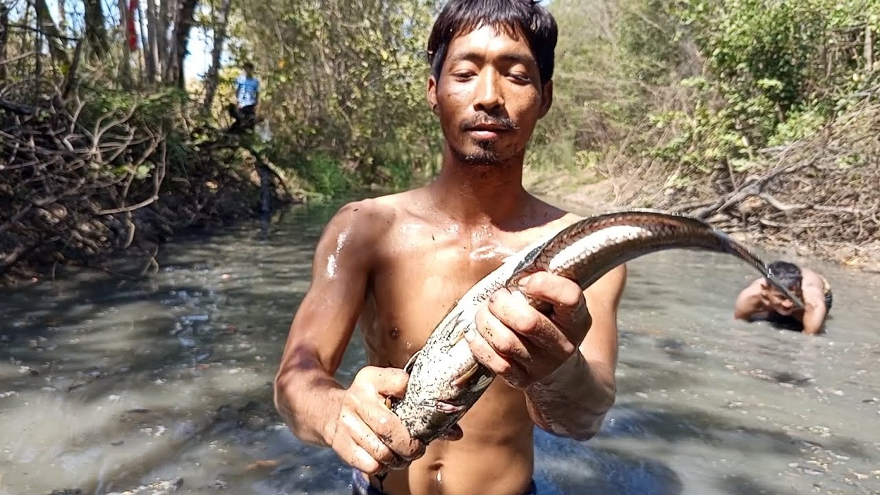 ពិតជាពូកែចាប់ត្រីមែន